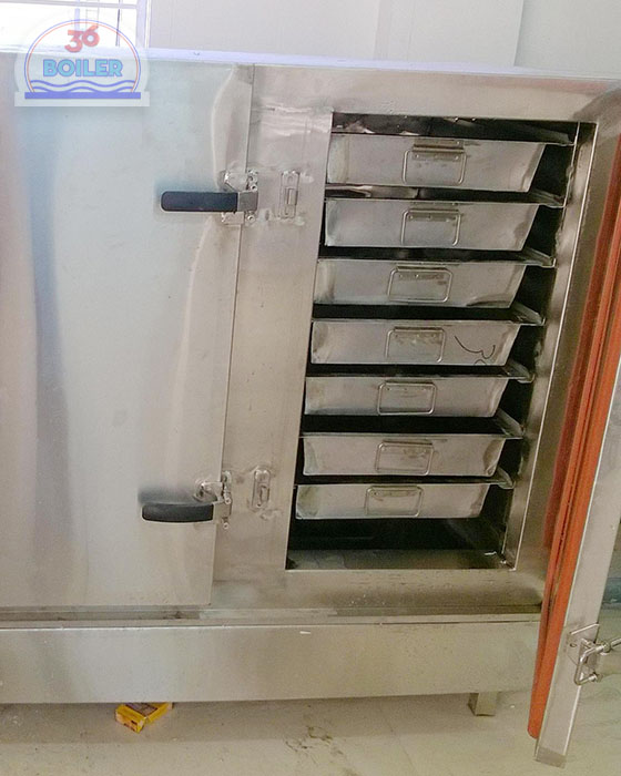 Industrial rice steamer